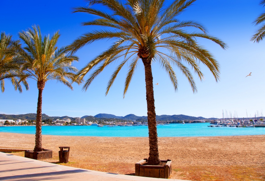 Ibiza Sant antoni de Portmany Abad beach with palm trees